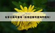 石家庄限号查询（石家庄限号查询外地车） 