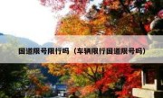 国道限号限行吗（车辆限行国道限号吗） 