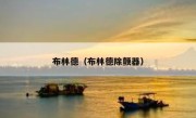 布林德（布林德除颤器） 