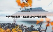 车牌号查违章（怎么通过车牌号查违章） 
