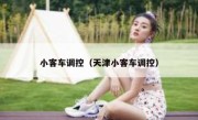 小客车调控（天津小客车调控） 