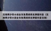 沈湘傅少钦小说全文免费阅读无弹窗抖音（沈湘傅少钦小说全文免费阅读无弹窗抖音沈湘） 