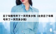 忘了车限号开了一天罚多少钱（北京忘了车限号开了一天罚多少钱） 