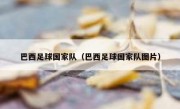 巴西足球国家队（巴西足球国家队图片） 