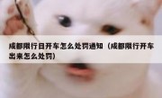 成都限行日开车怎么处罚通知（成都限行开车出来怎么处罚）