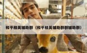 和平精英辅助群（和平精英辅助群群辅助群） 