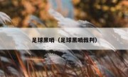 足球黑哨（足球黑哨裁判） 