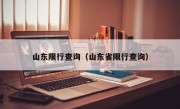 山东限行查询（山东省限行查询）