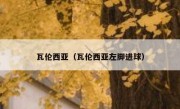 瓦伦西亚（瓦伦西亚左脚进球） 