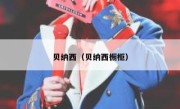 贝纳西（贝纳西橱柜） 