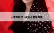 小客车调控（杭州小客车调控） 