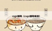 csgo辅助（csgo辅助瞄准） 