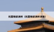 托雷斯欧洲杯（托雷斯欧洲杯滑跪） 