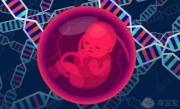 南昌能供卵试管助孕的医院名单，2022年最新版本分享