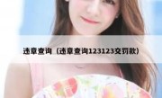 违章查询（违章查询123123交罚款） 