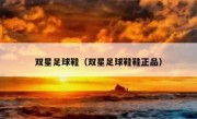 双星足球鞋（双星足球鞋鞋正品） 