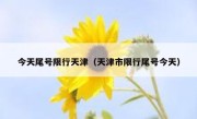 今天尾号限行天津（天津市限行尾号今天） 