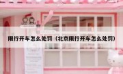 限行开车怎么处罚（北京限行开车怎么处罚） 