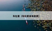车杜里（车杜里身体素质） 