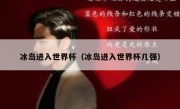 冰岛进入世界杯（冰岛进入世界杯几强） 
