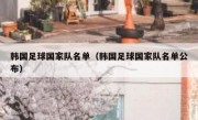 韩国足球国家队名单（韩国足球国家队名单公布） 