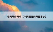 今天限行号吗（今天限行的号是多少） 