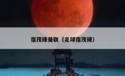 宿茂臻曼联（足球宿茂臻） 