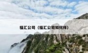 福汇公司（福汇公司如何样） 