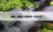 格策（格策一球用尽一生运气） 