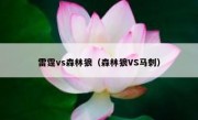 雷霆vs森林狼（森林狼VS马刺） 