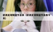欧洲足球频道节目表（欧洲足球频道节目表今天） 