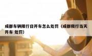 成都车辆限行日开车怎么处罚（成都限行当天开车 处罚）