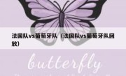 法国队vs葡萄牙队（法国队vs葡萄牙队回放） 