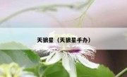 天狼星（天狼星手办） 