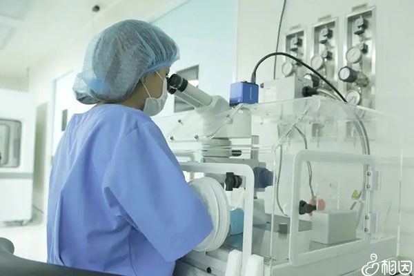 瑞生禾国际医疗靠谱吗，单身可以做试管吗 第1张