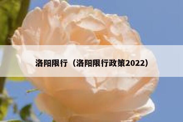 洛阳限行（洛阳限行政策2022）  第1张