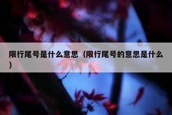 限行尾号是什么意思（限行尾号的意思是什么）  第1张