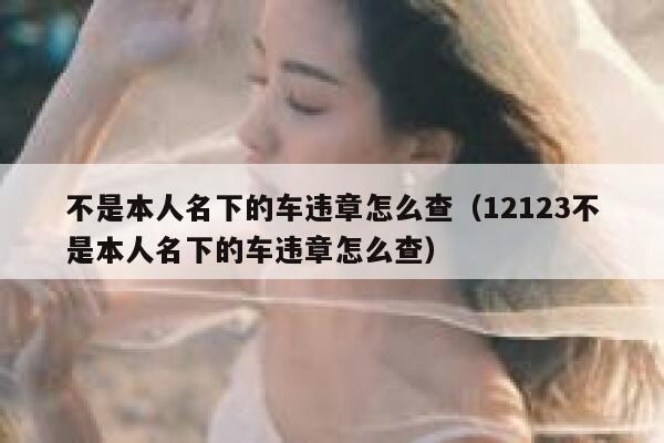 不是本人名下的车违章怎么查（12123不是本人名下的车违章怎么查）  第1张