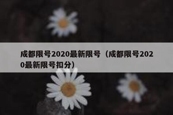 成都限号2020最新限号（成都限号2020最新限号扣分）  第1张
