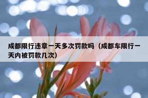 成都限行违章一天多次罚款吗（成都车限行一天内被罚款几次）  第1张