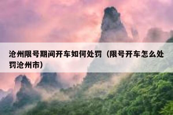 沧州限号期间开车如何处罚（限号开车怎么处罚沧州市）  第1张