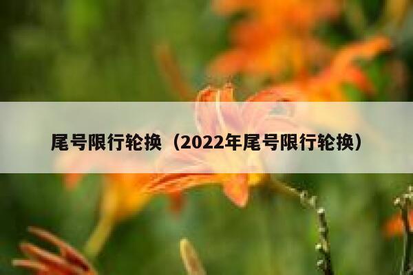 尾号限行轮换（2022年尾号限行轮换）  第1张