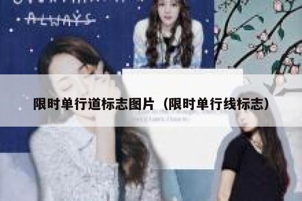 限时单行道标志图片（限时单行线标志）  第1张