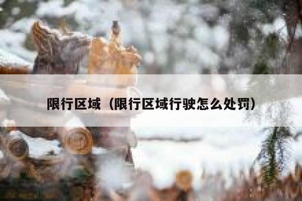 限行区域（限行区域行驶怎么处罚）  第1张