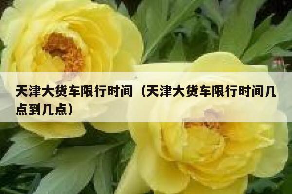 天津大货车限行时间（天津大货车限行时间几点到几点）  第1张