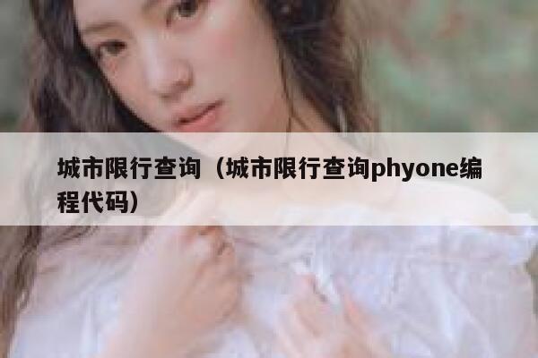 城市限行查询（城市限行查询phyone编程代码）  第1张