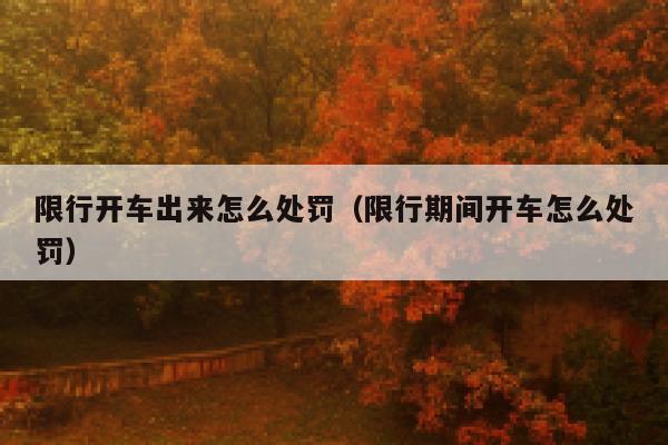 限行开车出来怎么处罚（限行期间开车怎么处罚）  第1张