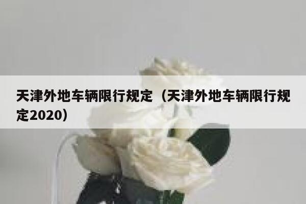 天津外地车辆限行规定（天津外地车辆限行规定2020）  第1张