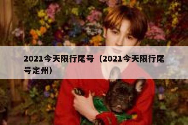 2021今天限行尾号（2021今天限行尾号定州）  第1张