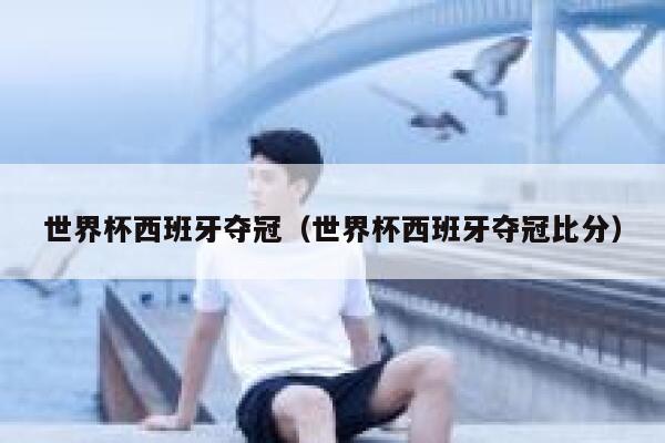 世界杯西班牙夺冠（世界杯西班牙夺冠比分）  第1张